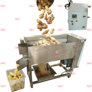 Automatic stainless steel ginger washing and peeling machine with roller brushes for industrial food processing.
