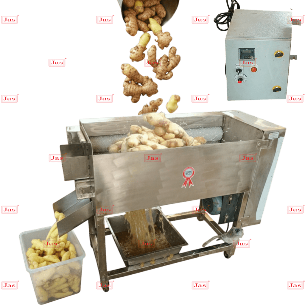 Continuous Belt Blancher Machine 8 Automatic stainless steel ginger washing and peeling machine with roller brushes for industrial food processing.