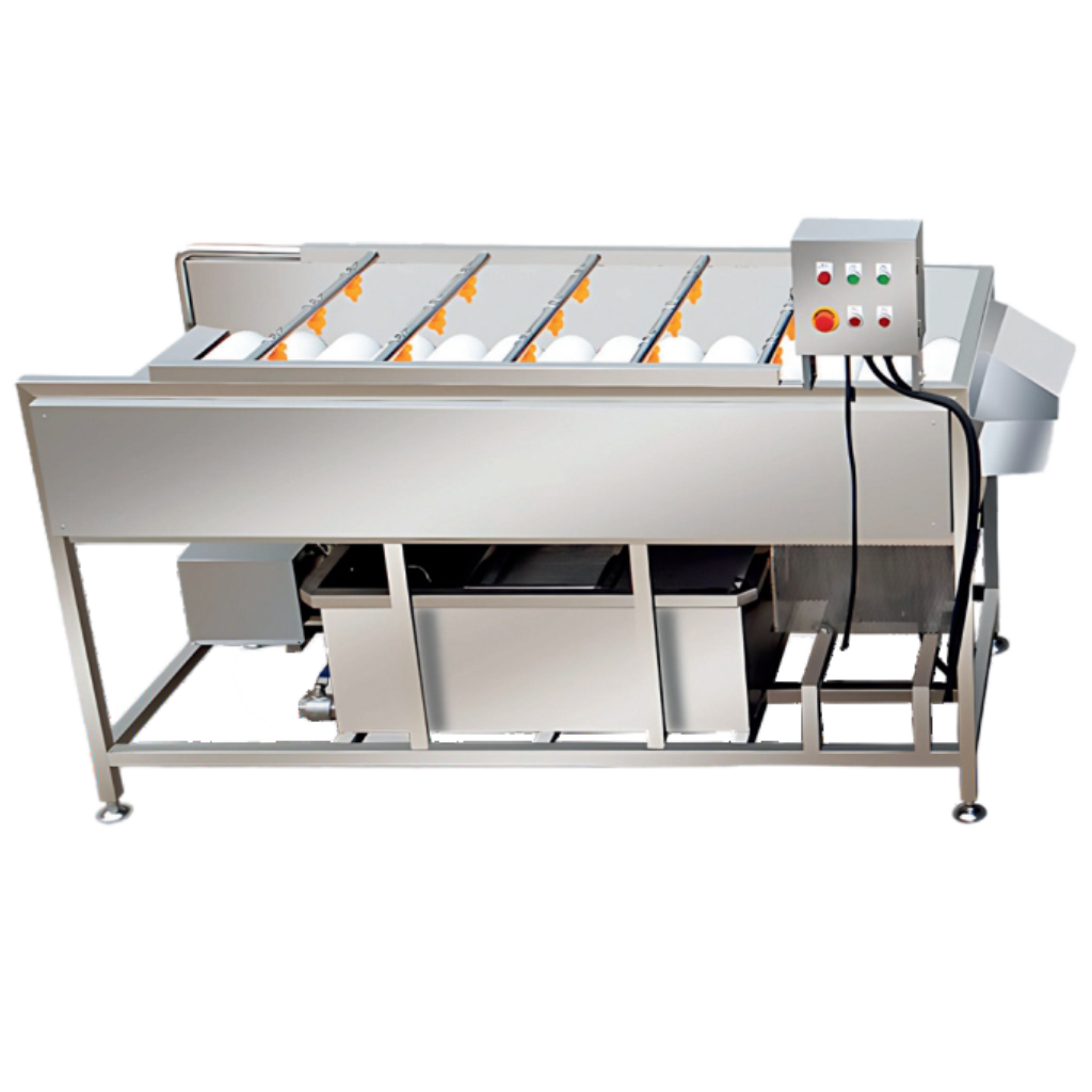 Continuous fruit and vegetable roller cleaning machine