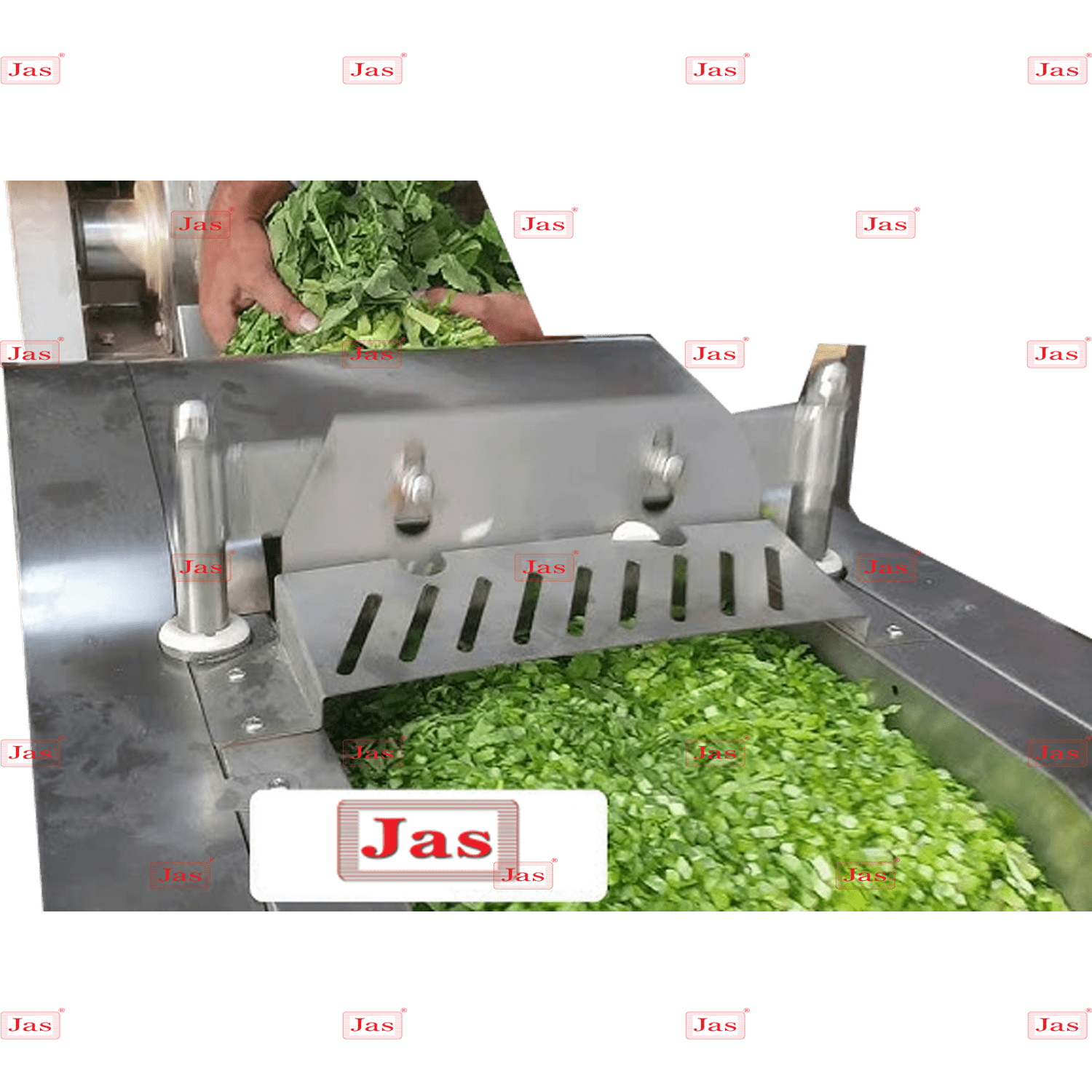 LEAFY VEGETABLE CUTTER 2 Machine for cutting leafy vegetables.